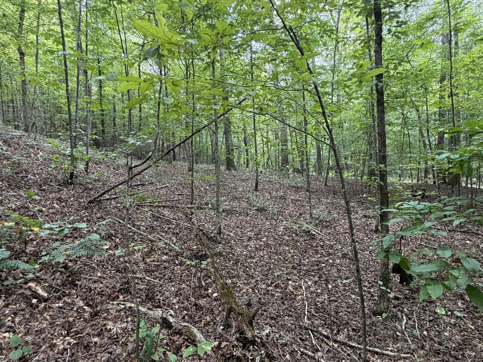 15 Acres of Recreational & Residential Land for Sale in Linden, Tennessee