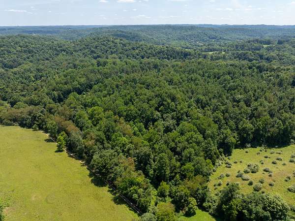 85.2 Acres of Recreational & Residential Land for Sale in Leon, West Virginia