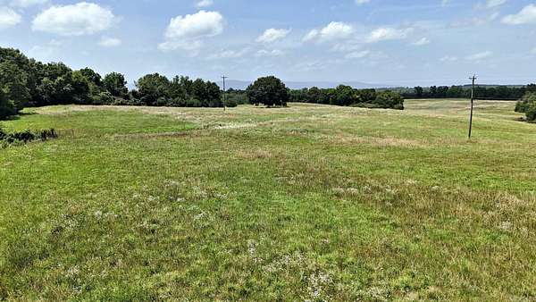 100 Acres of Land for Sale in Hatfield, Arkansas