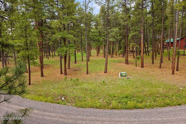 1 Acre of Residential Land for Sale in Greer, Arizona