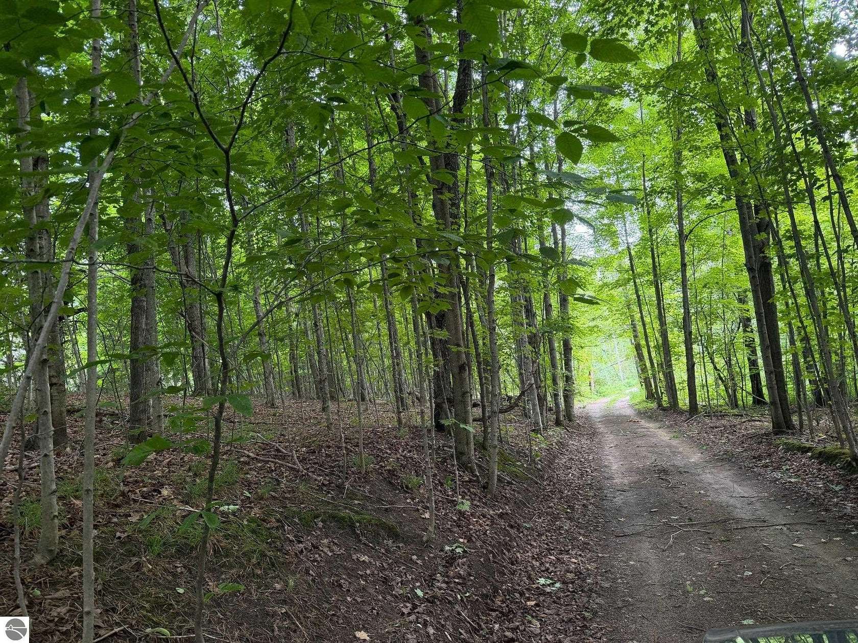 39.5 Acres of Recreational & Residential Land for Sale in East Jordan, Michigan