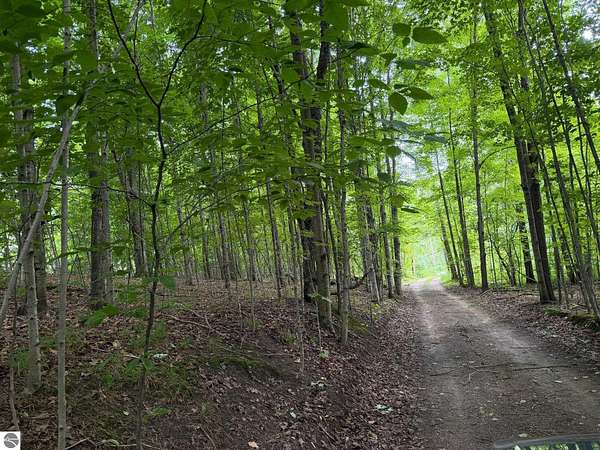 39.5 Acres of Recreational & Residential Land for Sale in East Jordan, Michigan