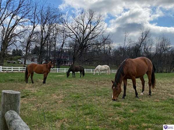 10.7 Acres of Land with Home for Sale in Radcliff, Kentucky