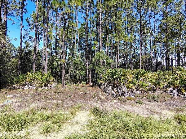 0.23 Acres of Land for Sale in Dunnellon, Florida