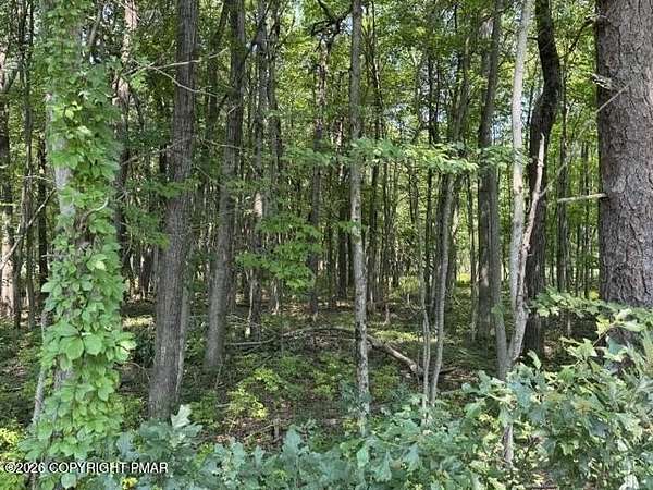 1.12 Acres of Residential Land for Sale in Jim Thorpe, Pennsylvania