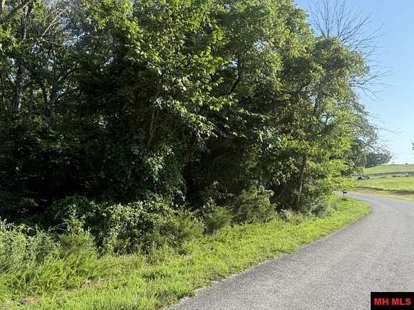 41 Acres of Recreational & Residential Land for Sale in Mountain Home, Arkansas