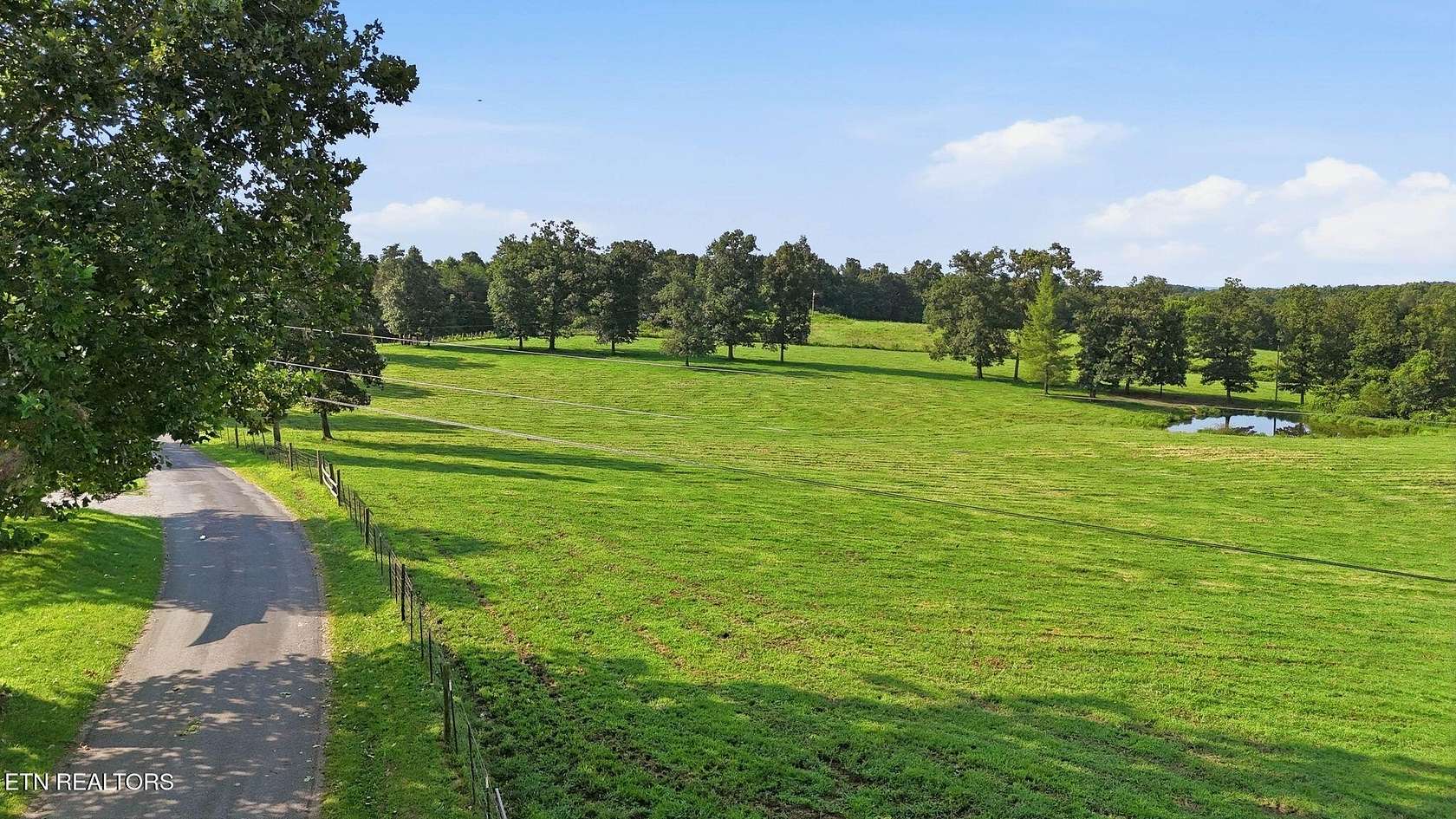 23 Acres of Agricultural & Residential Land for Sale in Deer Lodge, Tennessee