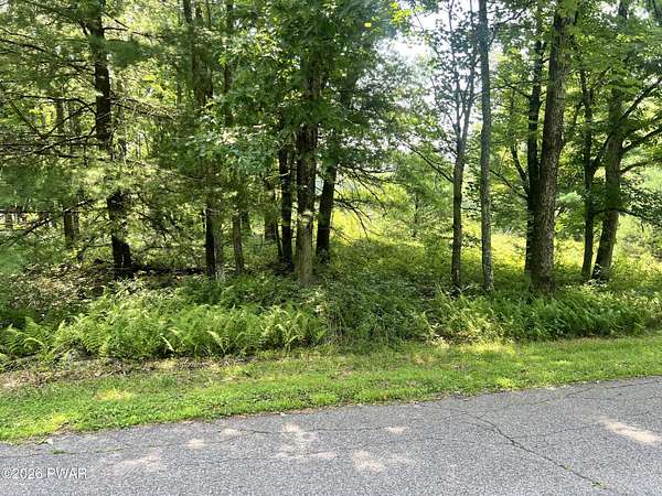 1 Acre of Residential Land for Sale in Lords Valley, Pennsylvania