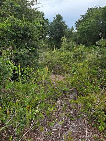 0.23 Acres of Residential Land for Sale in Punta Gorda, Florida
