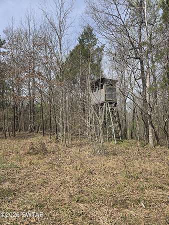 161 Acres of Recreational Land for Sale in Mercer, Tennessee