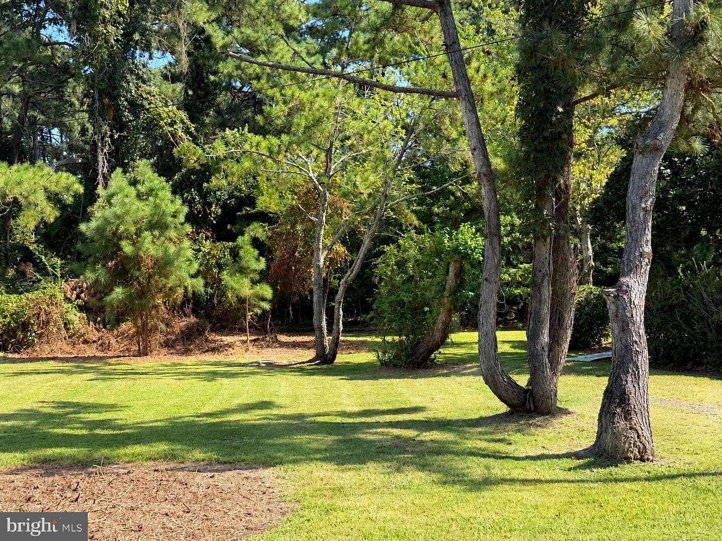 0.26 Acres of Residential Land for Sale in Chincoteague, Virginia