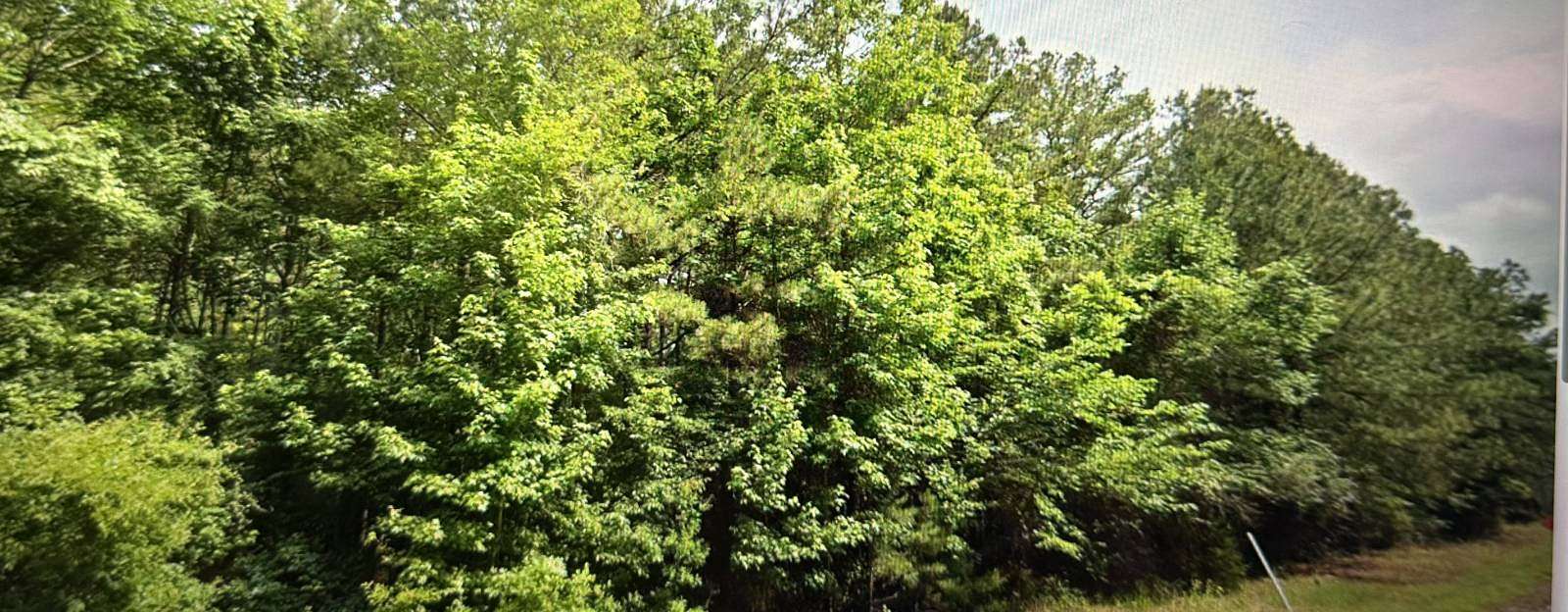 9.66 Acres of Residential Land for Sale in Lena, Louisiana