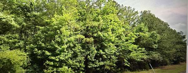 9.66 Acres of Residential Land for Sale in Lena, Louisiana
