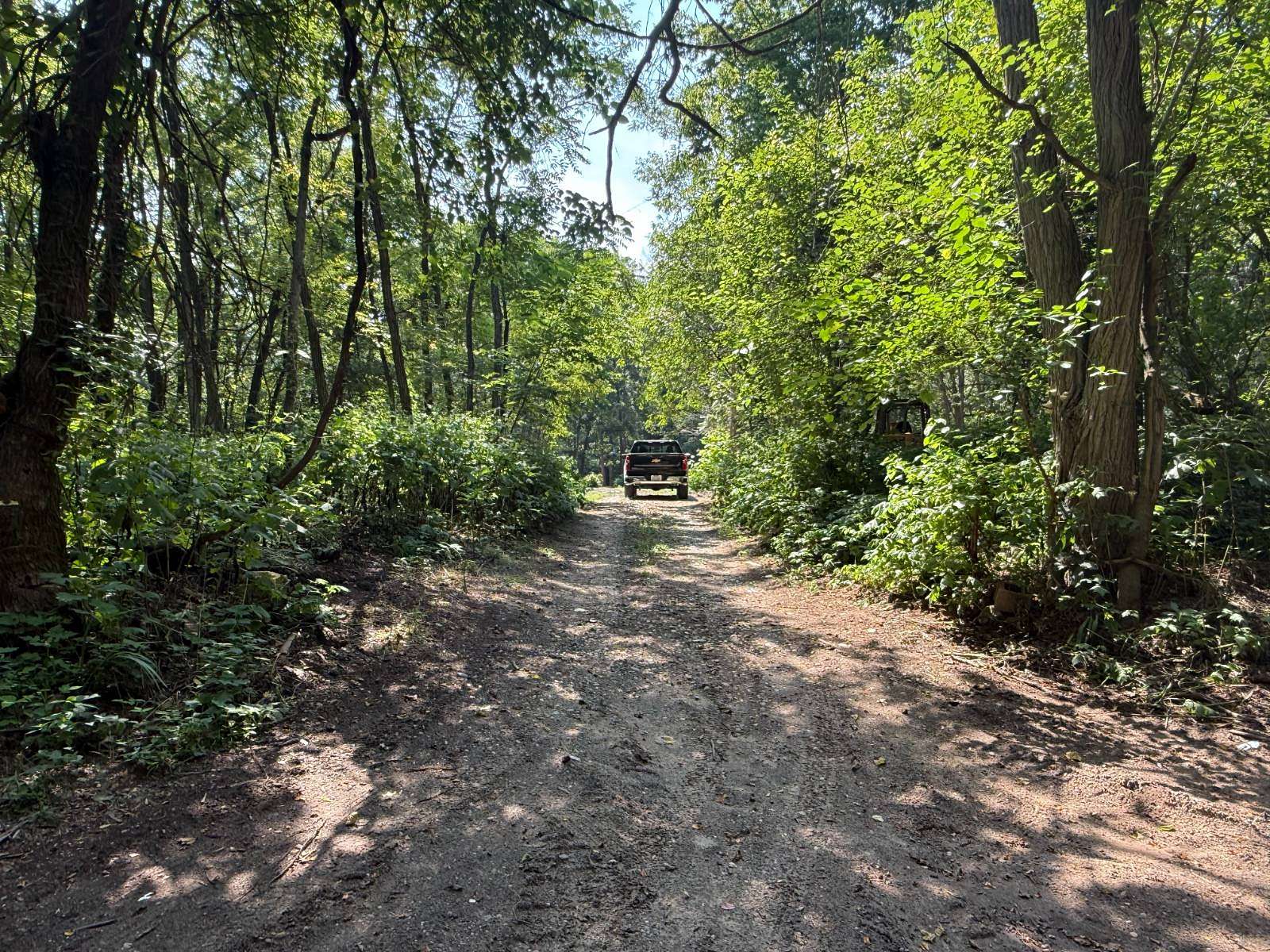 21 Acres of Land for Sale in Kingman, Indiana