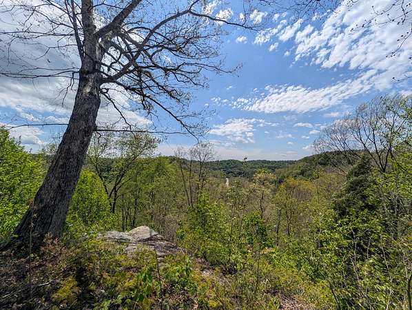 85 Acres of Land for Auction in Beallsville, Ohio