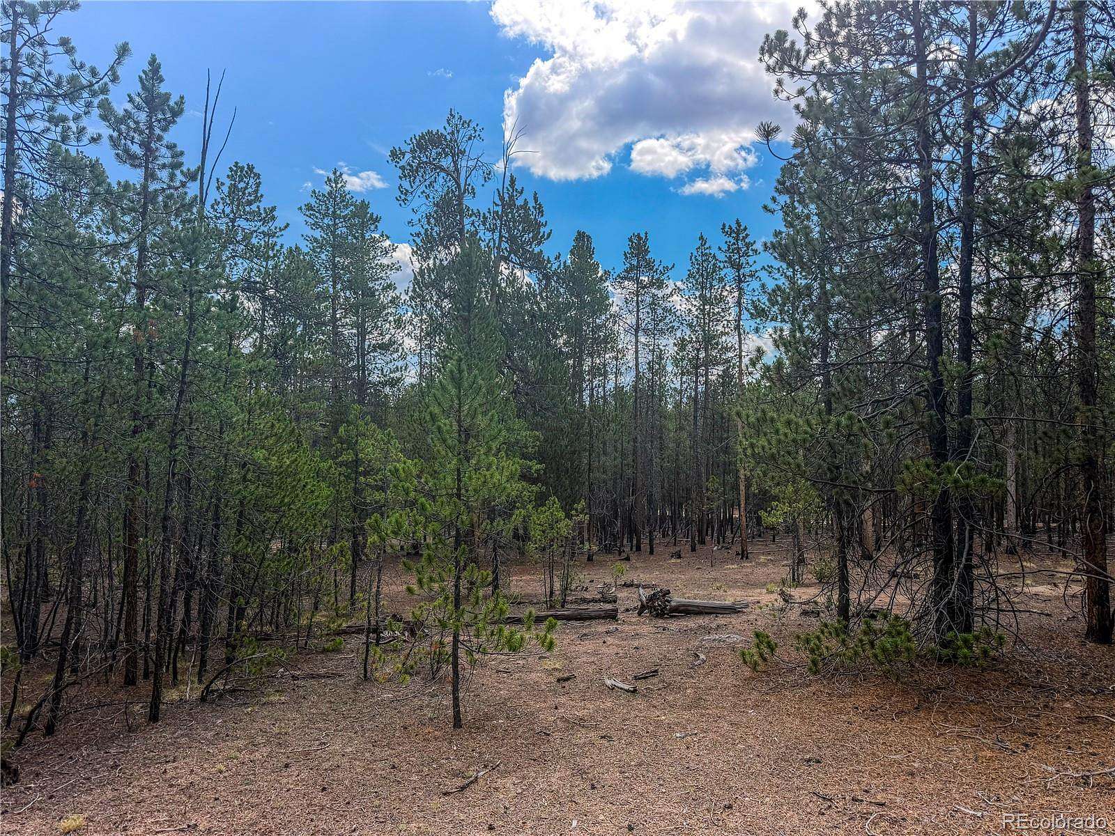 0.46 Acres of Residential Land for Sale in Leadville, Colorado