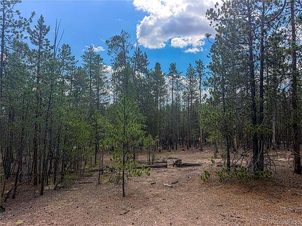 0.46 Acres of Residential Land for Sale in Leadville, Colorado