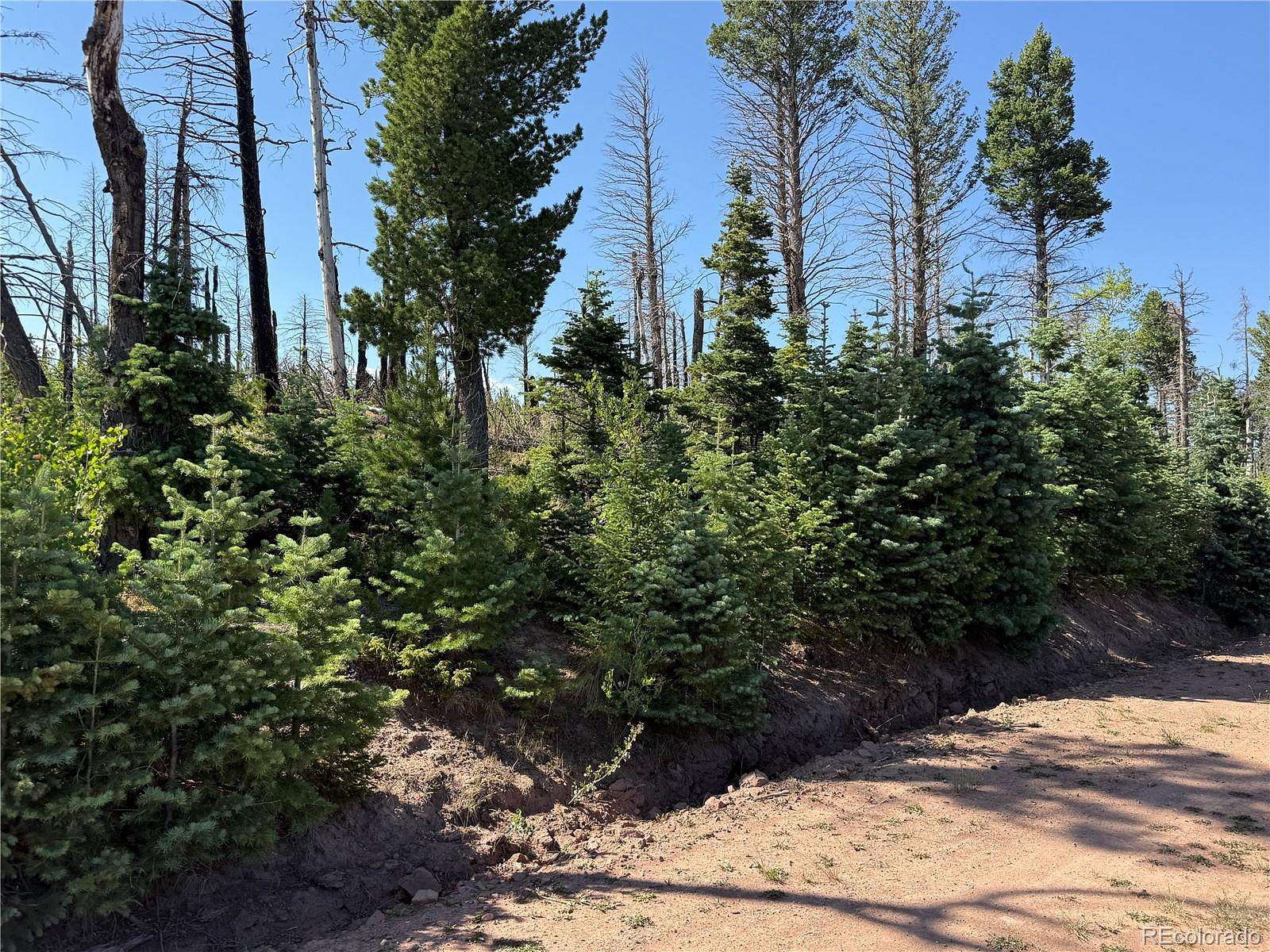 1.62 Acres of Residential Land for Sale in Fort Garland, Colorado