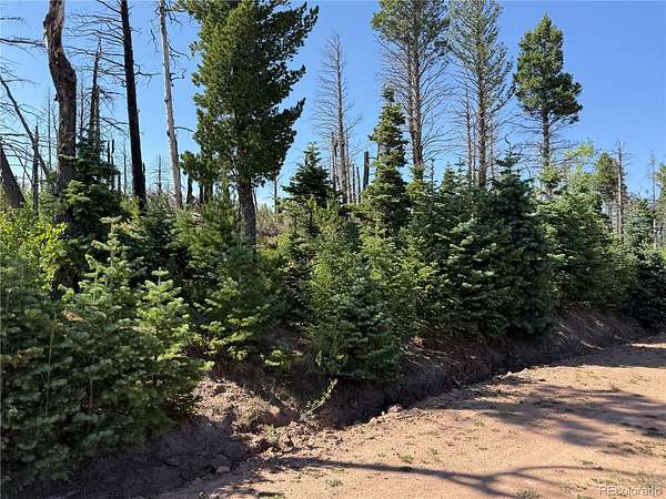 1.62 Acres of Residential Land for Sale in Fort Garland, Colorado