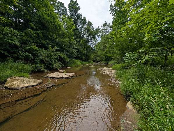 34.4 Acres of Recreational & Residential Land for Auction in Bloomingdale, Ohio