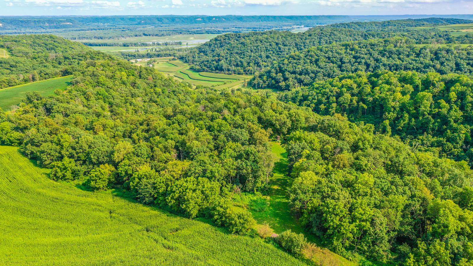 29.1 Acres of Land for Sale in Caledonia, Minnesota