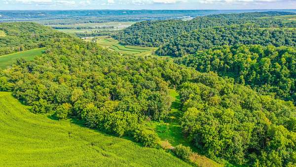 29.1 Acres of Land for Sale in Caledonia, Minnesota