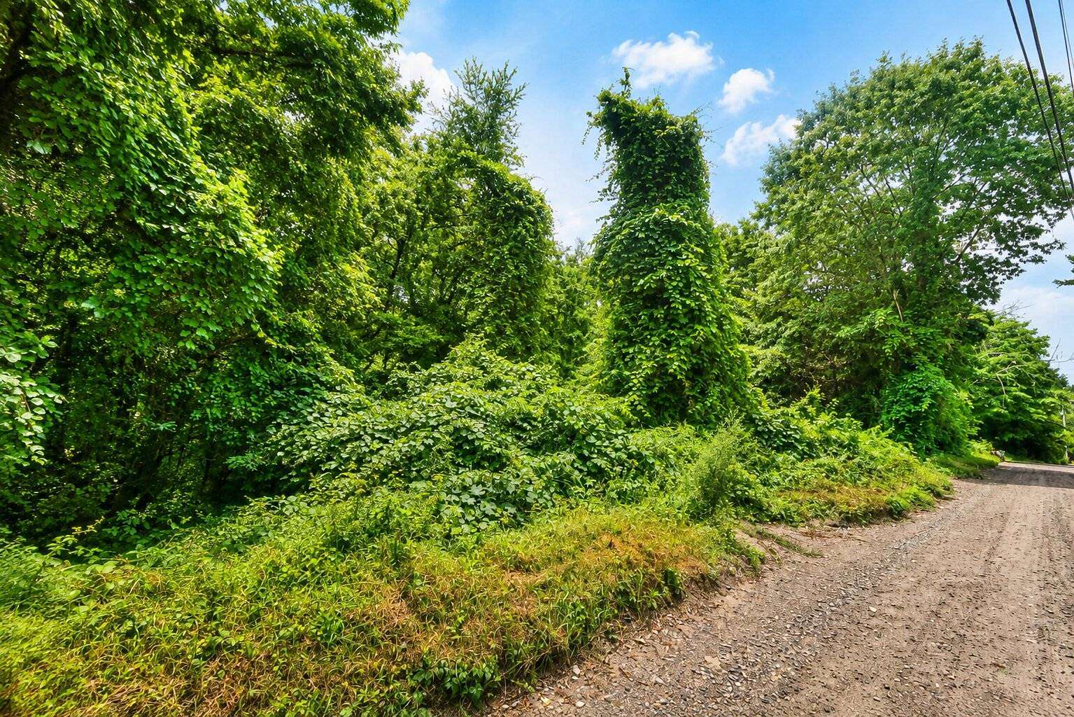 9 Acres of Land for Sale in Killingly Town, Connecticut