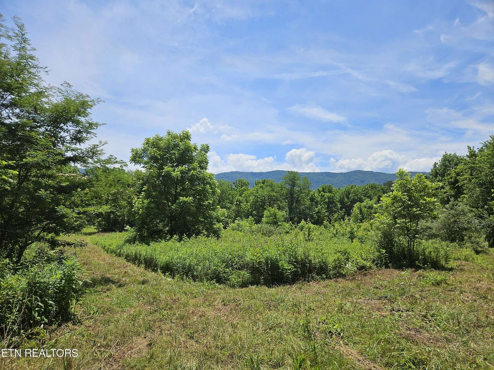 24.1 Acres of Land for Sale in Maryville, Tennessee