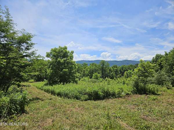 24.1 Acres of Land for Sale in Maryville, Tennessee