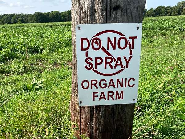 175 Acres of Land for Sale in Dixon, Illinois