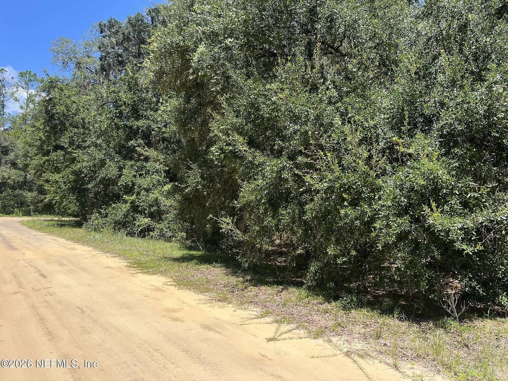 0.99 Acres of Residential Land for Sale in Hawthorne, Florida
