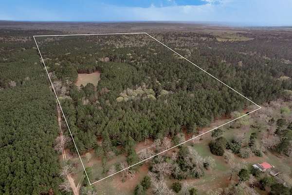 104 Acres of Recreational Land for Sale in Crockett, Texas