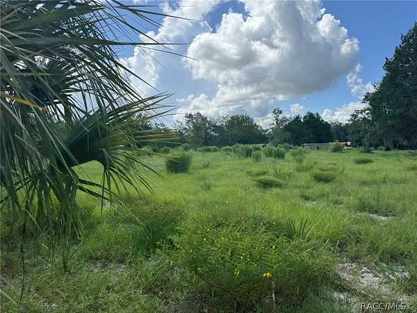 3 Acres of Residential Land for Sale in Crystal River, Florida