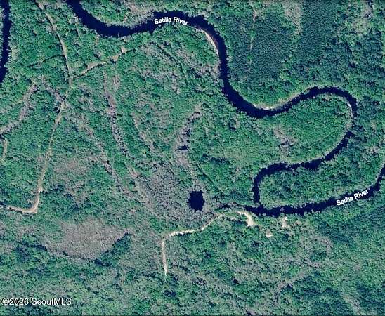 75 Acres of Land for Sale in Nahunta, Georgia
