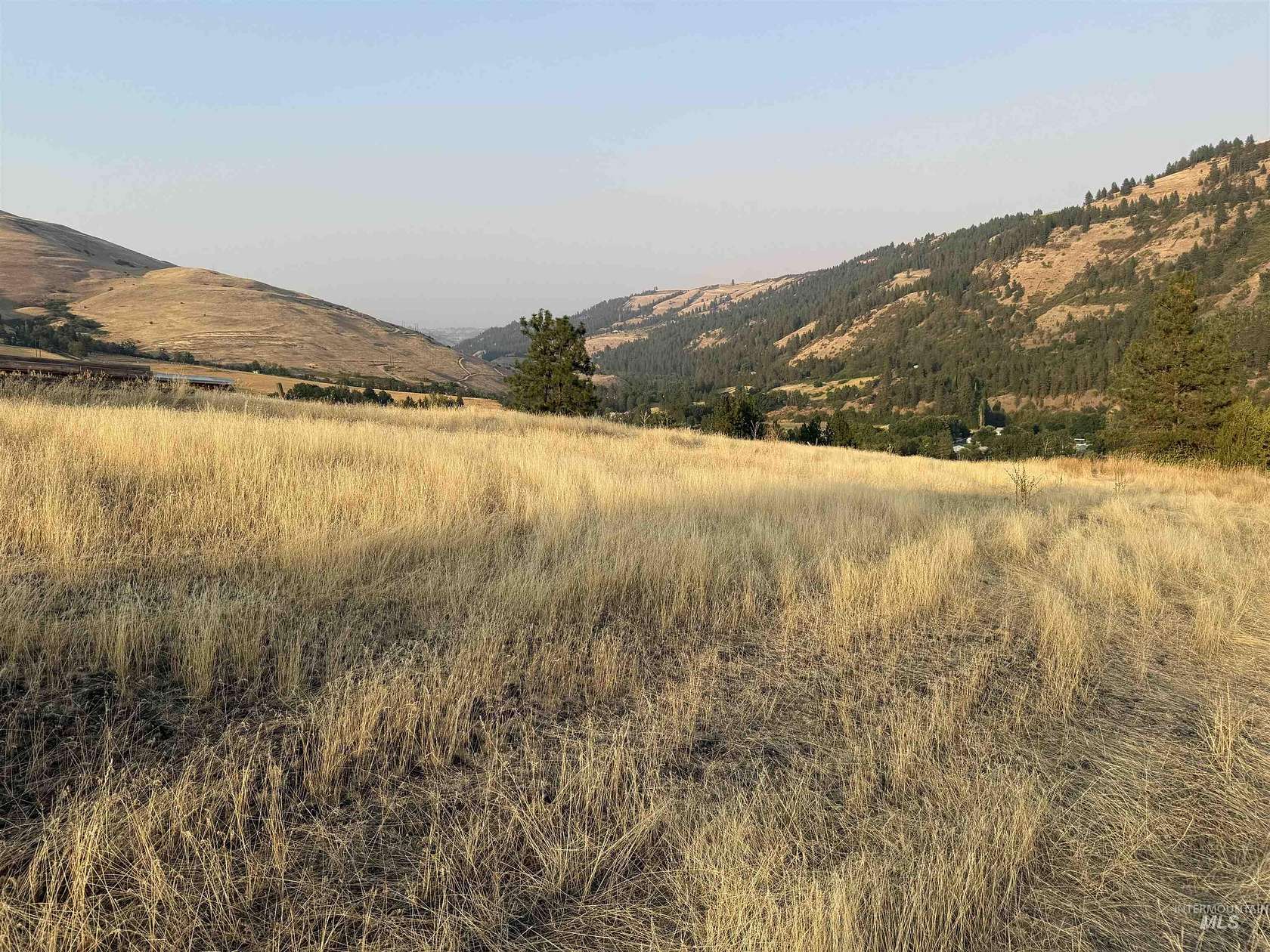 1.63 Acres of Residential Land for Sale in Juliaetta, Idaho