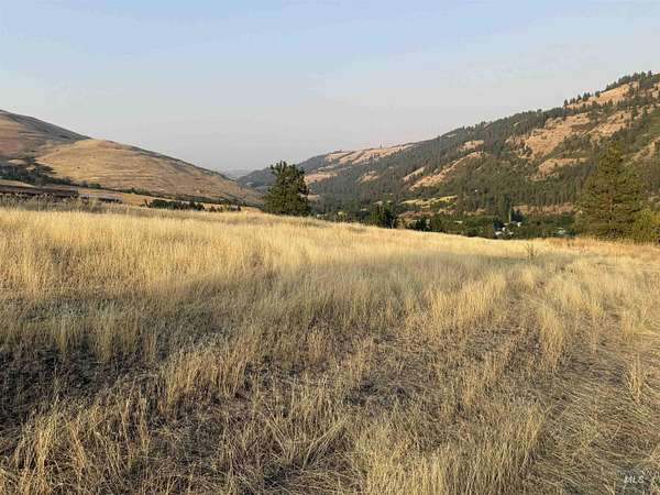 1.63 Acres of Residential Land for Sale in Juliaetta, Idaho