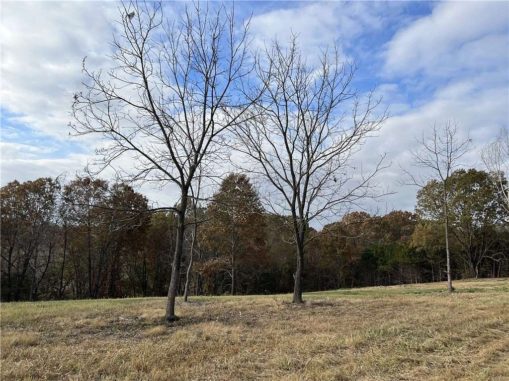19 Acres of Recreational & Residential Land for Sale in Harrison, Arkansas