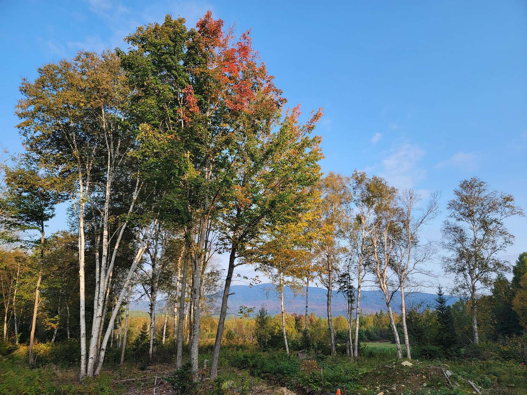0.59 Acres of Residential Land for Sale in Rangeley, Maine