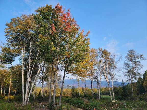 0.59 Acres of Residential Land for Sale in Rangeley, Maine