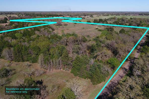 44.2 Acres of Land for Sale in Wortham, Texas