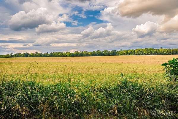 109 Acres of Land for Sale in Israel Township, Ohio