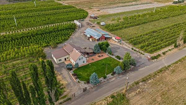 40 Acres of Agricultural Land with Home for Sale in Eckert, Colorado