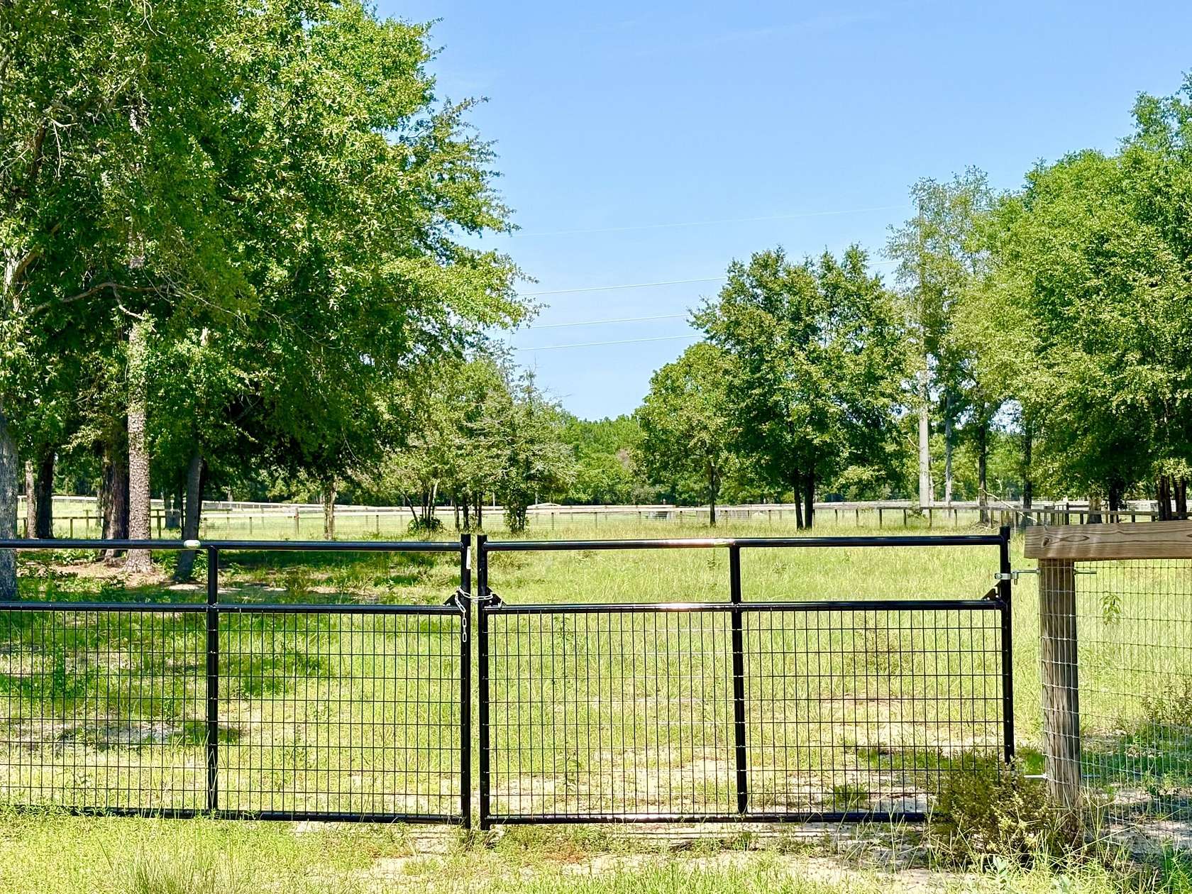 2 Acres of Residential Land for Sale in Aiken, South Carolina