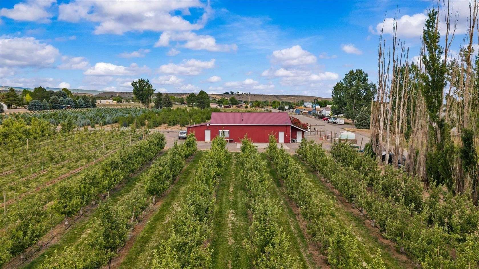 20 Acres of Agricultural Land with Home for Sale in Eckert, Colorado