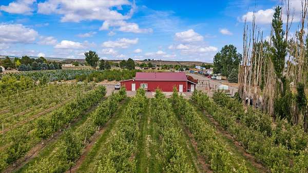 20 Acres of Agricultural Land with Home for Sale in Eckert, Colorado