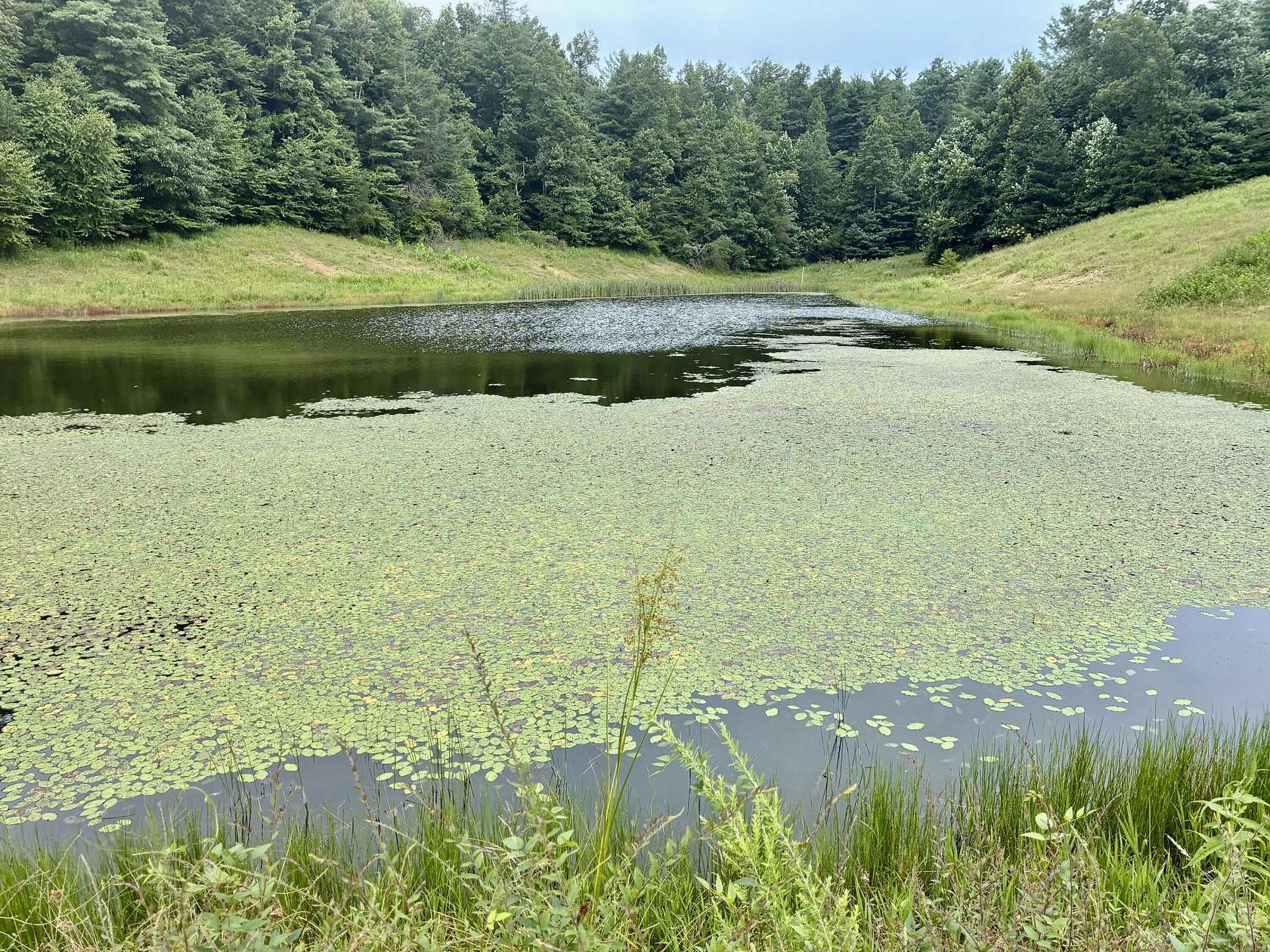 8.16 Acres of Residential Land for Sale in Campton, Kentucky