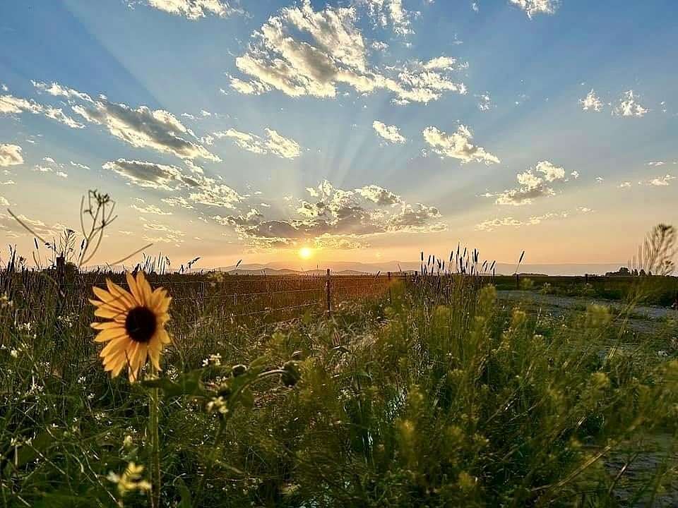 5 Acres of Residential Land for Sale in Powell, Wyoming