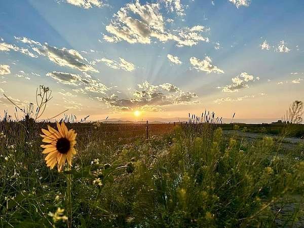 5 Acres of Residential Land for Sale in Powell, Wyoming