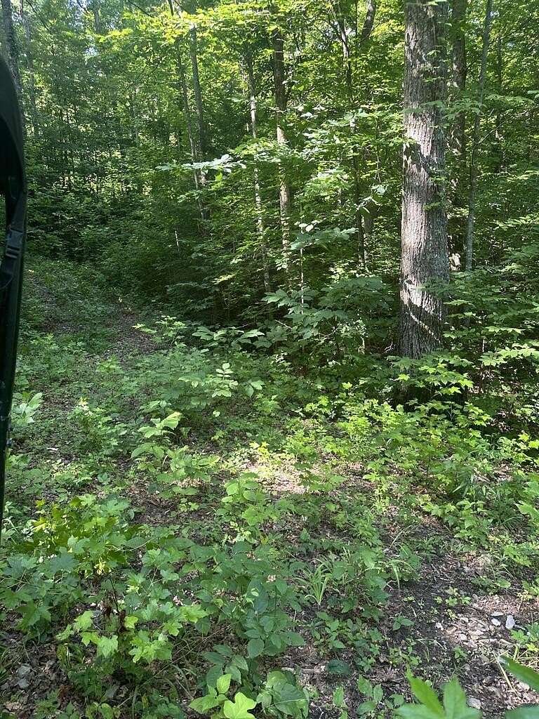 5 Acres of Residential Land for Sale in Wilder, Tennessee