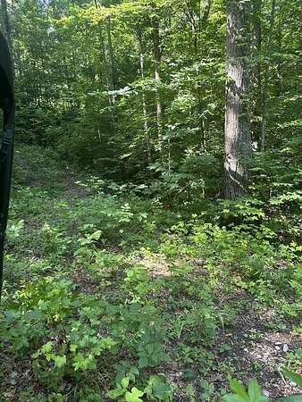 5 Acres of Residential Land for Sale in Wilder, Tennessee